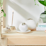 Organic Lavender Calm Bomb